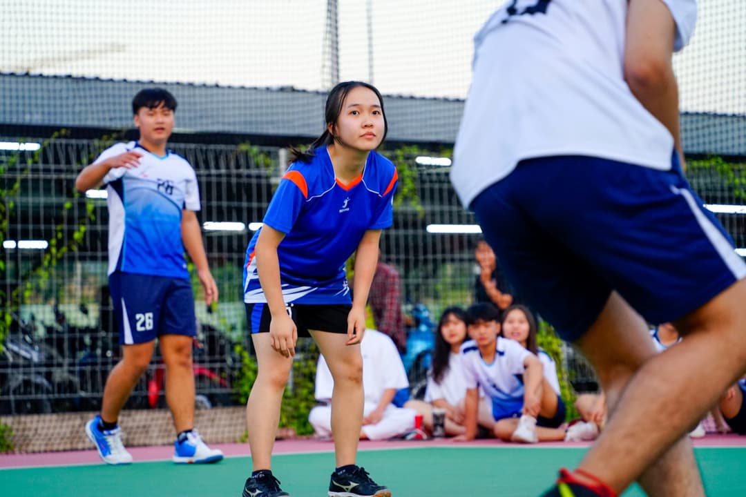Fvolley member